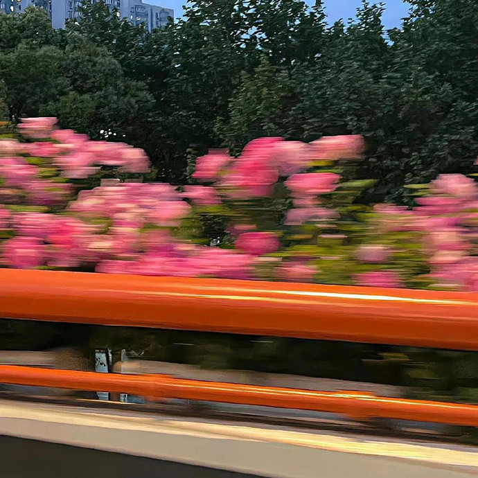 《英雄聯盟》高級emo傷感ID男介紹