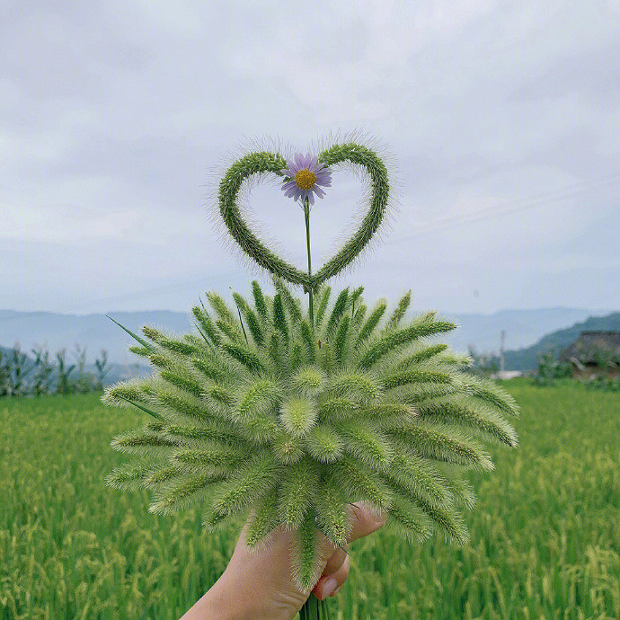 《英雄聯盟》小仙女專屬暱稱推薦