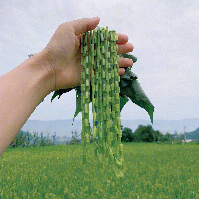 《英雄聯盟》森系暱稱小清新大全