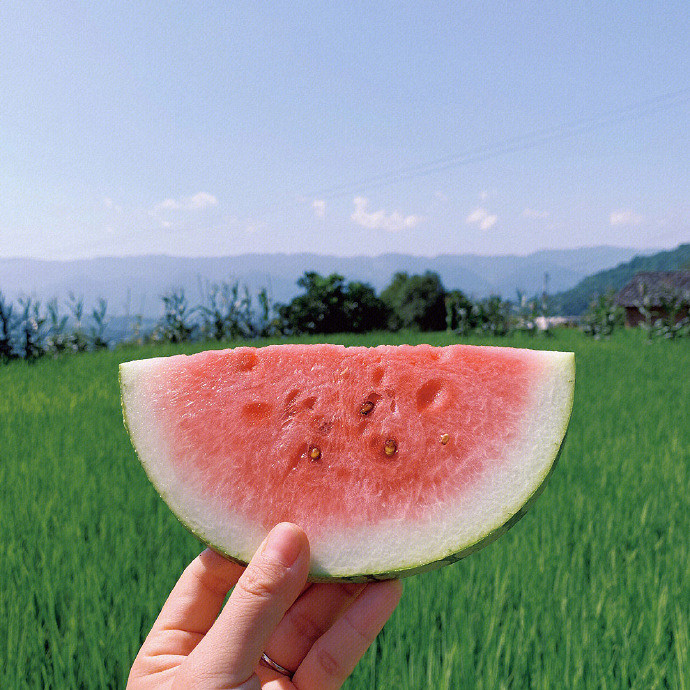 《英雄聯盟》森系暱稱小清新大全