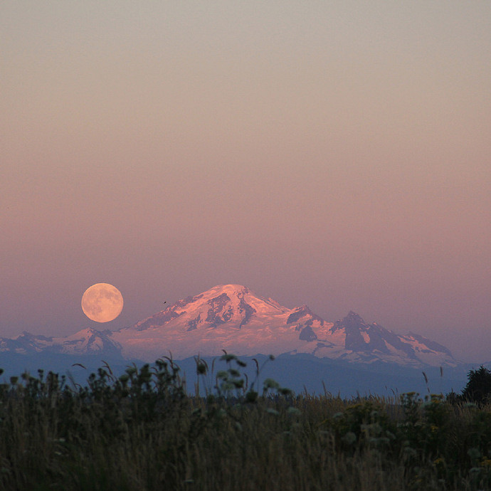 《英雄聯盟》狠心絕情冷血網名一覽