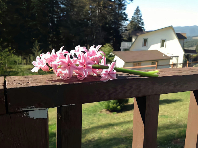 《英雄聯盟》陽光開朗的名字介紹