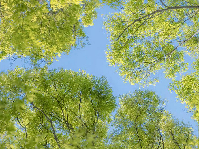 《英雄聯盟》陽光開朗的名字介紹