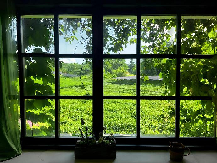 《英雄聯盟》網名大全簡單大方乾淨分享