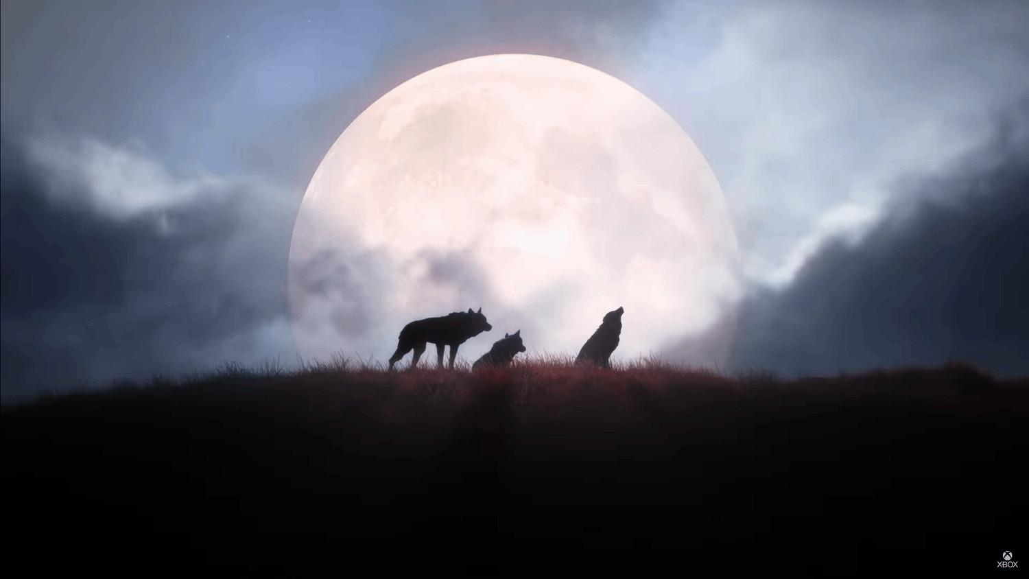 《黎明行者之血》新預告公布!2026年登陸主機PC 《黎明行者之血》新預告公布!2026年登陸主機PC