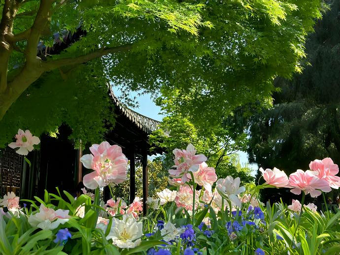 《英雄聯盟》冷門獨特稀少網名匯總 《英雄聯盟》冷門獨特稀少網名匯總