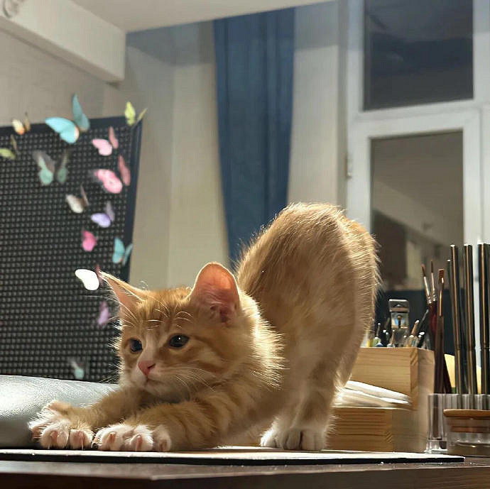 《英雄聯盟》網名三字獨特有寓意推薦