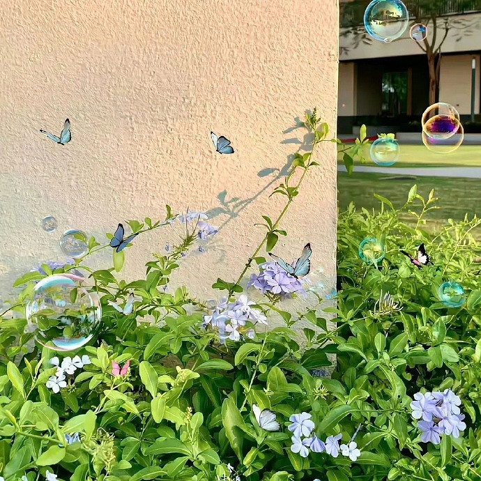 《英雄聯盟》2025最火三字網名一覽 《英雄聯盟》2025最火三字網名一覽