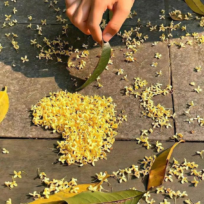 《英雄聯盟》2025最火三字網名一覽 《英雄聯盟》2025最火三字網名一覽