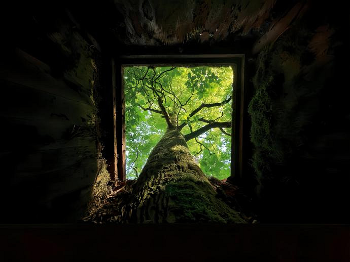 《英雄聯盟》網名大全簡單大方乾淨分享