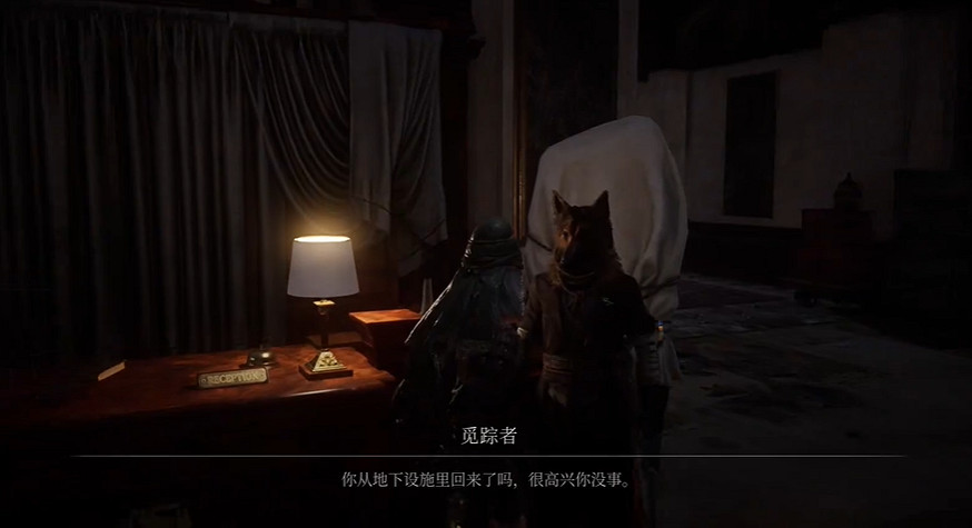 《P 的謊言》序曲全支線攻略 《P 的謊言》序曲全支線攻略