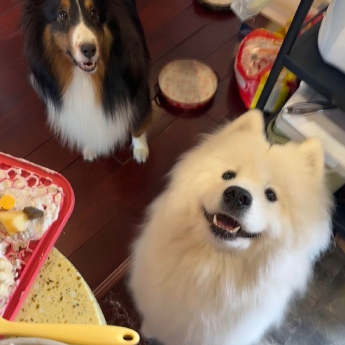 《英雄聯盟》對一切不在意的網名分享