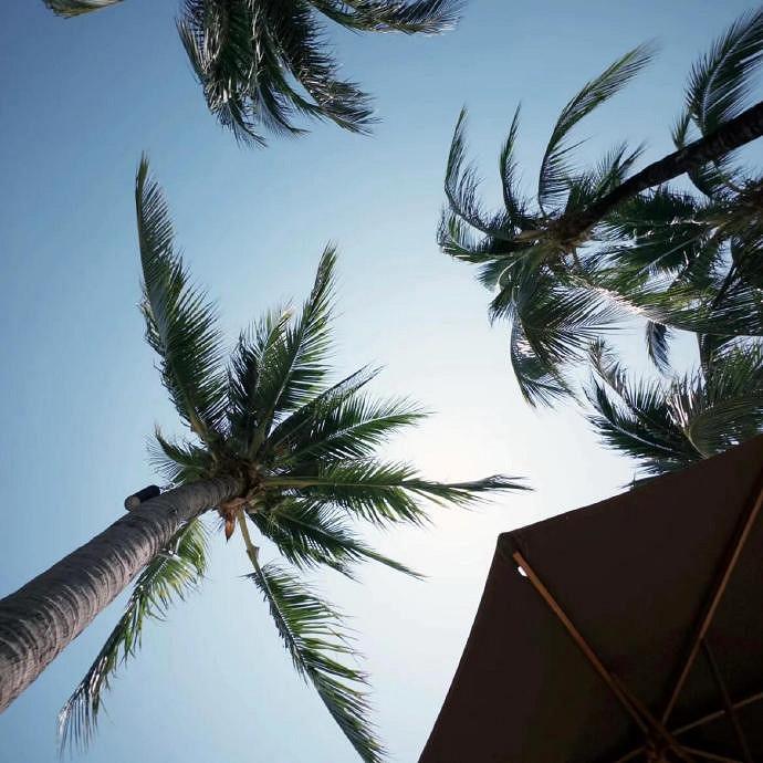 《英雄聯盟》ins風高級感暱稱推薦 《英雄聯盟》ins風高級感暱稱推薦