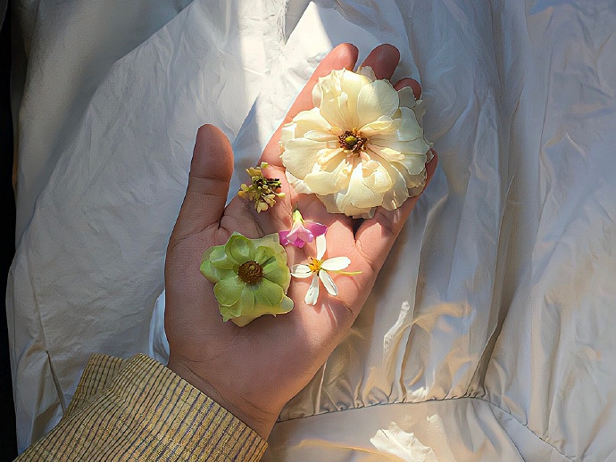 《英雄聯盟》女生簡短淡雅暱稱一覽 《英雄聯盟》女生簡短淡雅暱稱一覽