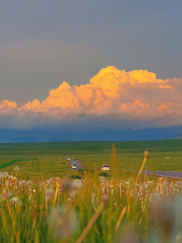 《英雄聯盟》森系網名簡單氣質匯總 《英雄聯盟》森系網名簡單氣質匯總