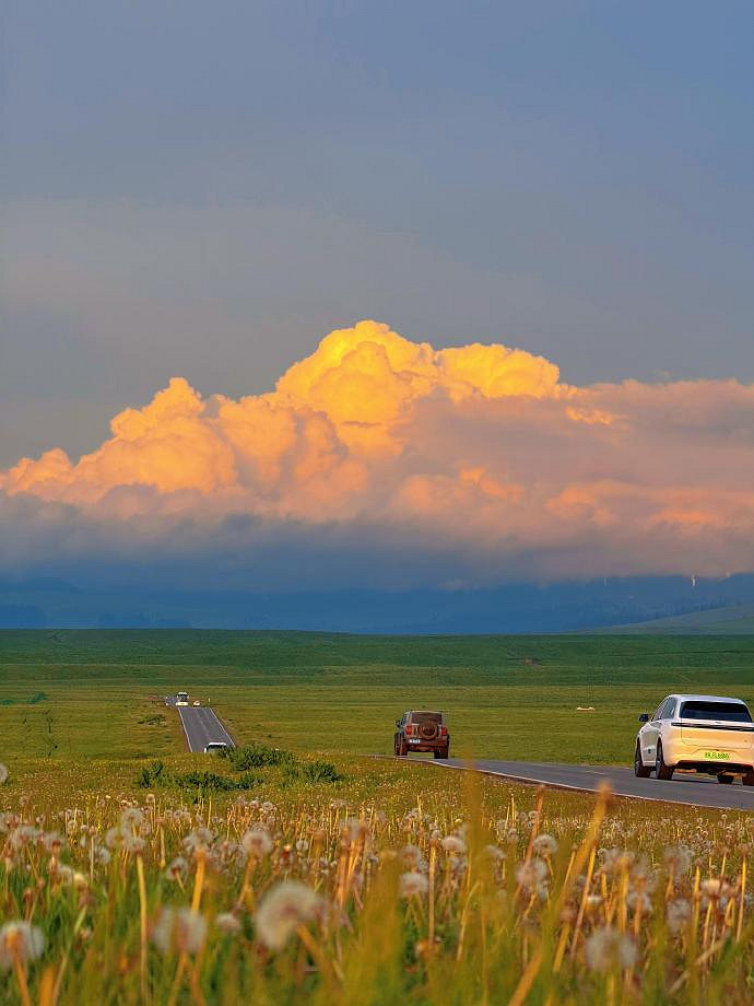 《英雄聯盟》森系網名簡單氣質匯總 《英雄聯盟》森系網名簡單氣質匯總