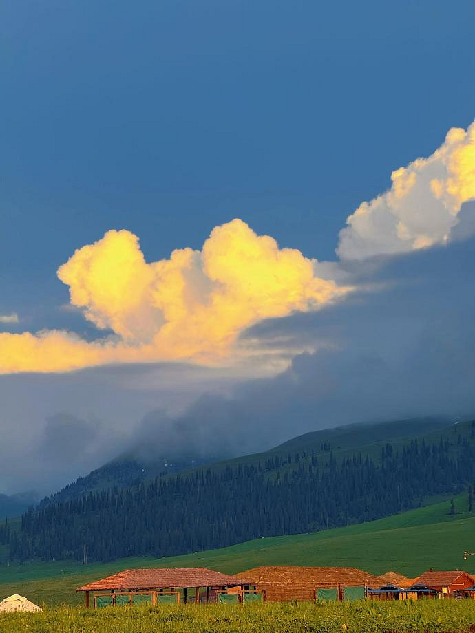 《英雄聯盟》森系網名簡單氣質匯總 《英雄聯盟》森系網名簡單氣質匯總