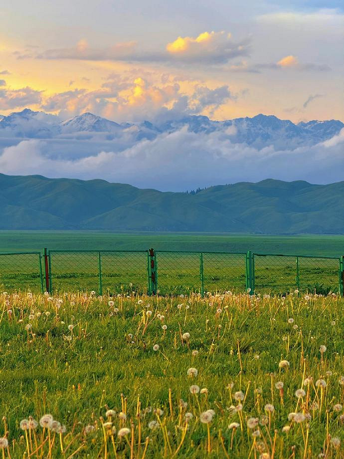 《英雄聯盟》森系網名簡單氣質匯總 《英雄聯盟》森系網名簡單氣質匯總