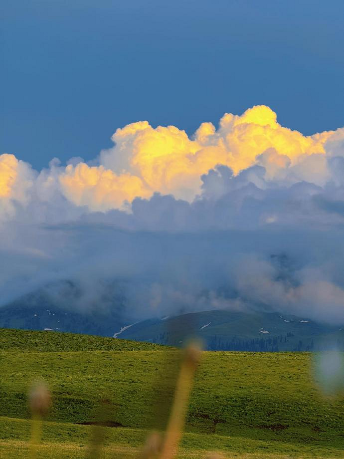 《英雄聯盟》森系網名簡單氣質匯總 《英雄聯盟》森系網名簡單氣質匯總