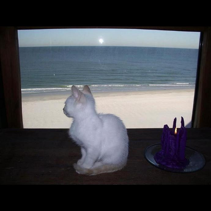 《英雄聯盟》氛圍感ins網名介紹