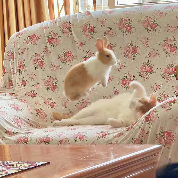 《英雄聯盟》又痞又壞幽默的網名匯總