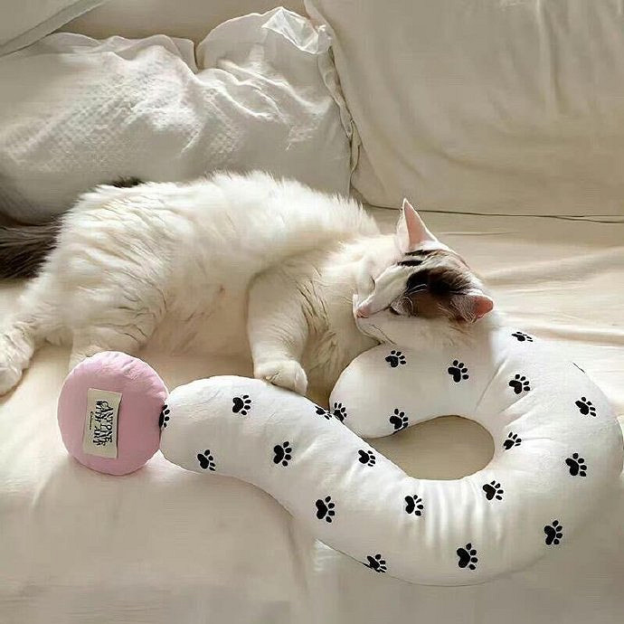 《英雄聯盟》瘋瘋癲癲的網名分享 《英雄聯盟》瘋瘋癲癲的網名分享