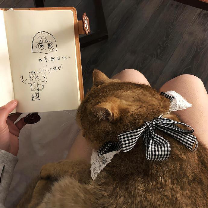 《英雄聯盟》高級文藝感的名字推薦 《英雄聯盟》高級文藝感的名字推薦