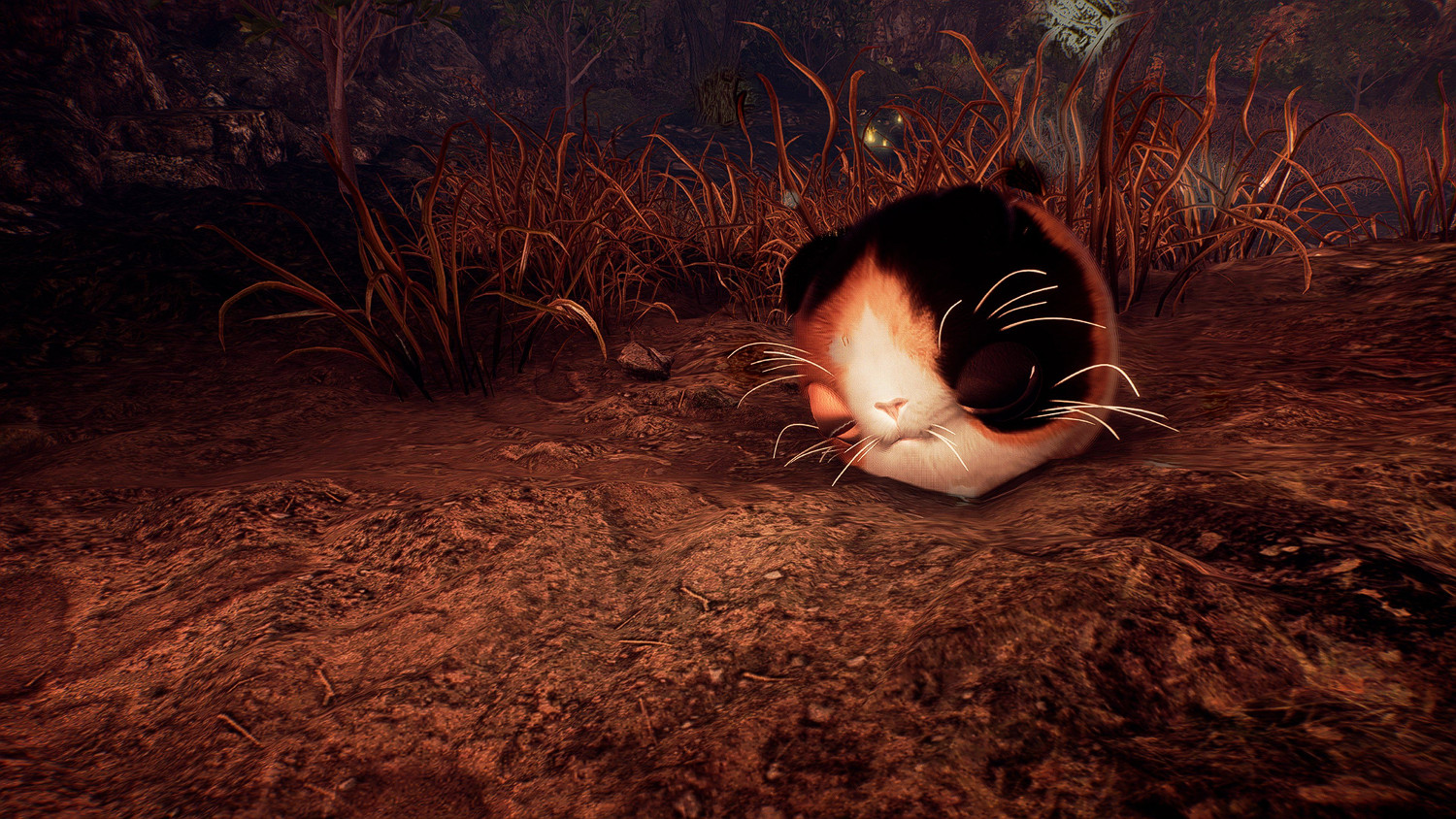 老熟人來了!《仁王3》官宣"萌物":可擼貓型妖怪登場 老熟人來了!《仁王3》官宣"萌物":可擼貓型妖怪登場