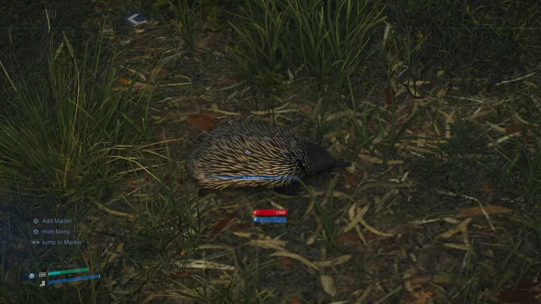 《死亡擱淺2》再現澳洲野生動物生態 玩家與袋鼠同行 《死亡擱淺2》再現澳洲野生動物生態 玩家與袋鼠同行