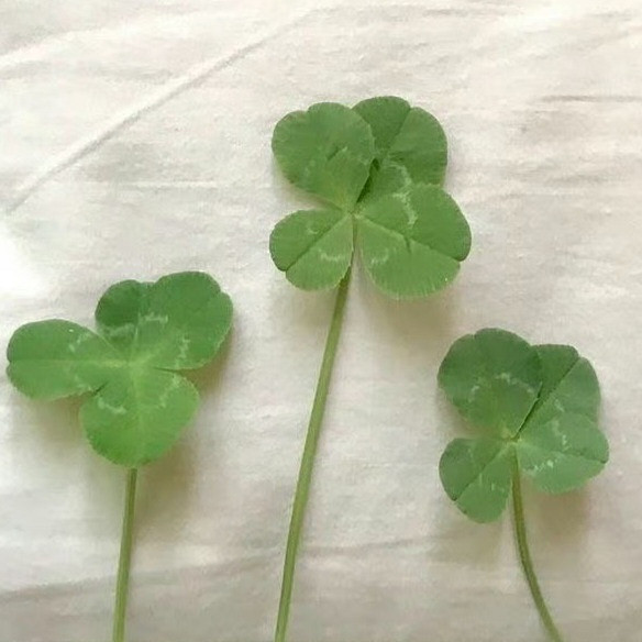 《英雄聯盟》高能量旺磁場的暱稱一覽