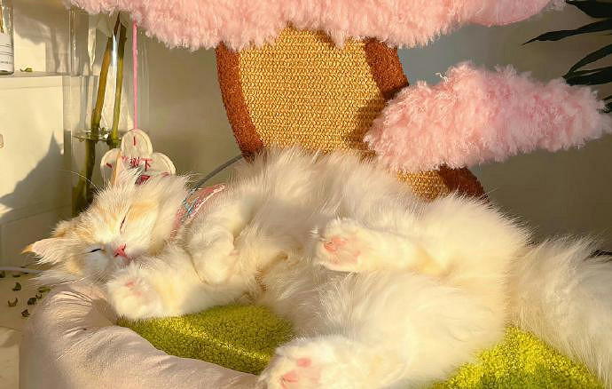 《英雄聯盟》禁欲系ins高級感ID匯總