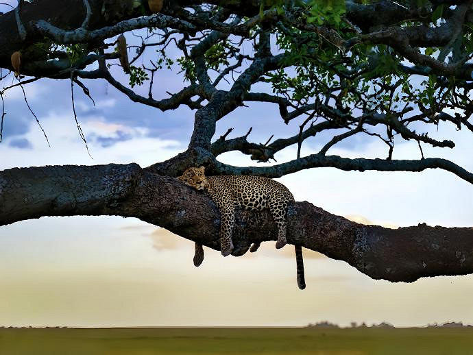 《英雄聯盟》超級冷門小眾的寓意網名ID一覽