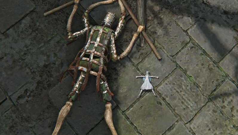 《法環 黑夜君臨》巨劍蘿莉mod登場!復仇者變得超小! 《法環 黑夜君臨》巨劍蘿莉mod登場!復仇者變得超小!