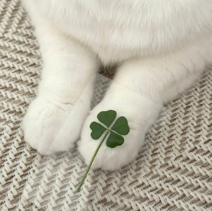 《英雄聯盟》運氣極佳的名字推薦