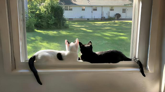 《英雄聯盟》超級冷門小眾的寓意網名ID一覽