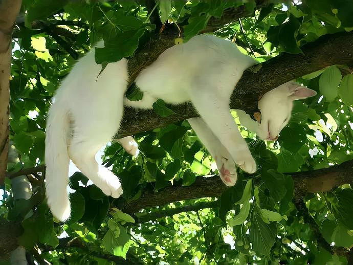 《英雄聯盟》禁欲系ins高級感ID匯總