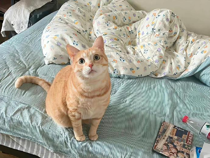 《英雄聯盟》禁欲系ins高級感ID匯總