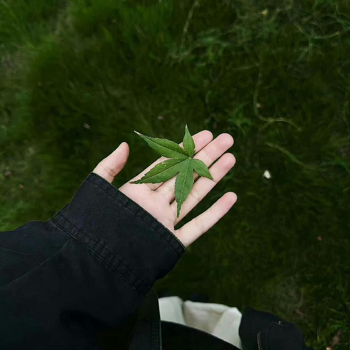 《英雄聯盟》有靈氣帶玄學的名字分享