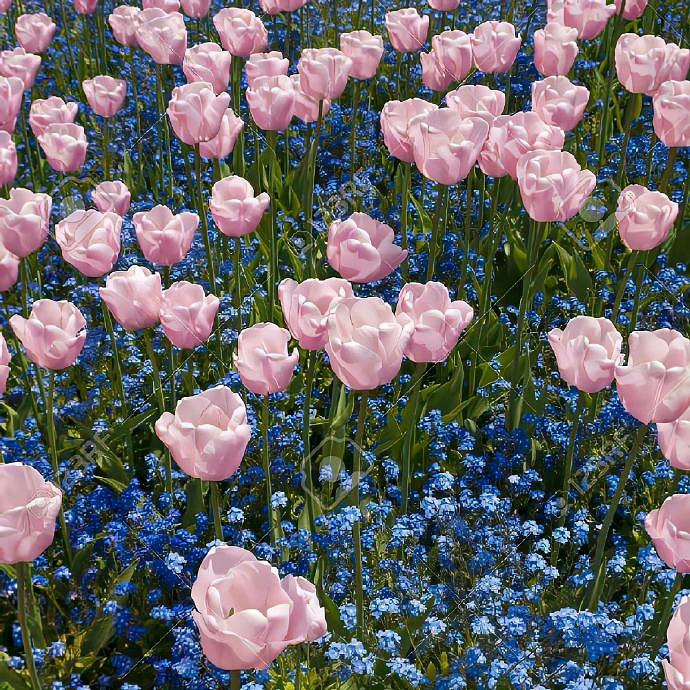 《英雄聯盟》哭了誰心疼帶符號網名匯總