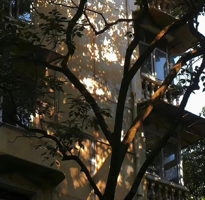 《英雄聯盟》摸魚擺爛的網名推薦