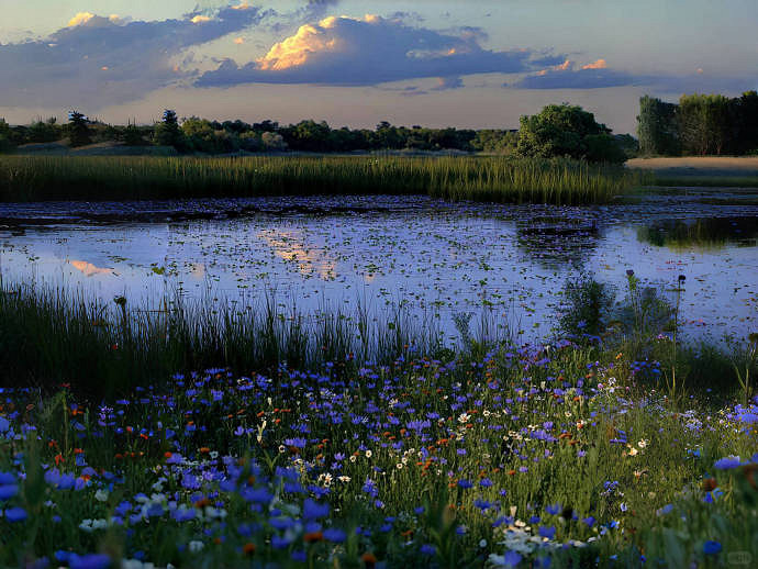 《英雄聯盟》心碎的英文網名大全