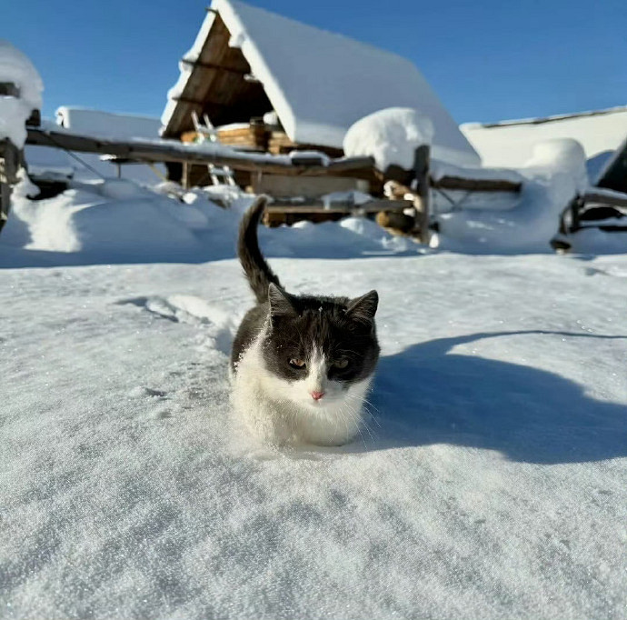 《英雄聯盟》高級emo傷感男性網名分享