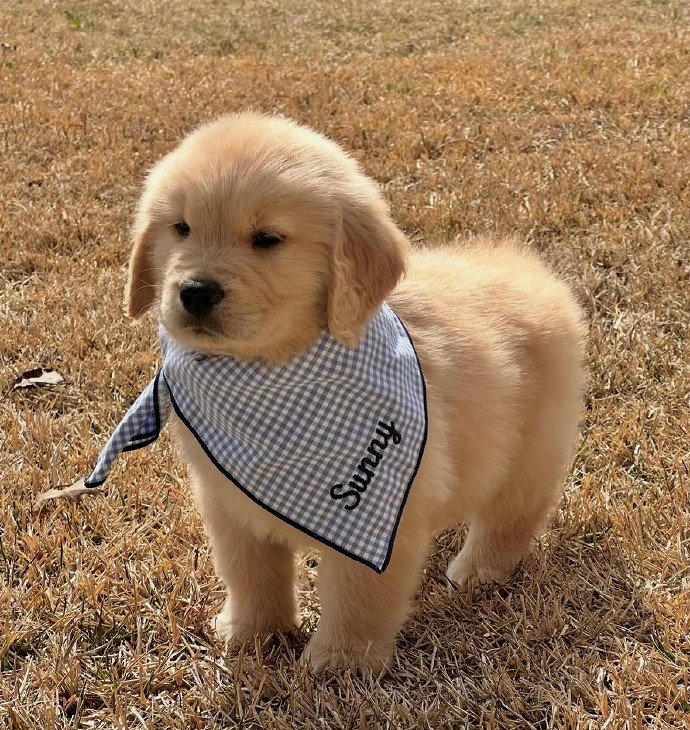 《英雄聯盟》摸魚擺爛的網名推薦