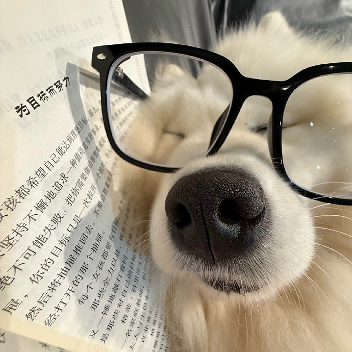 《英雄聯盟》幼稚可愛的網名一覽