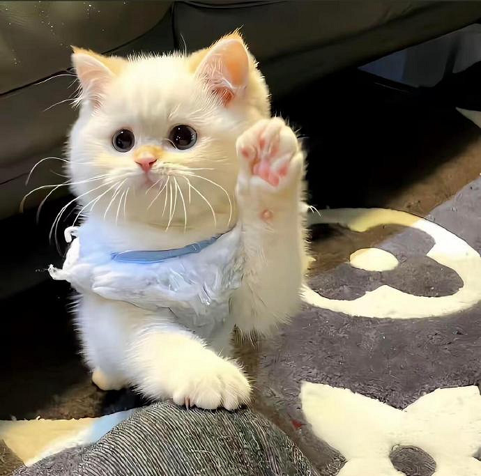 《英雄聯盟》哭了誰心疼帶符號網名匯總