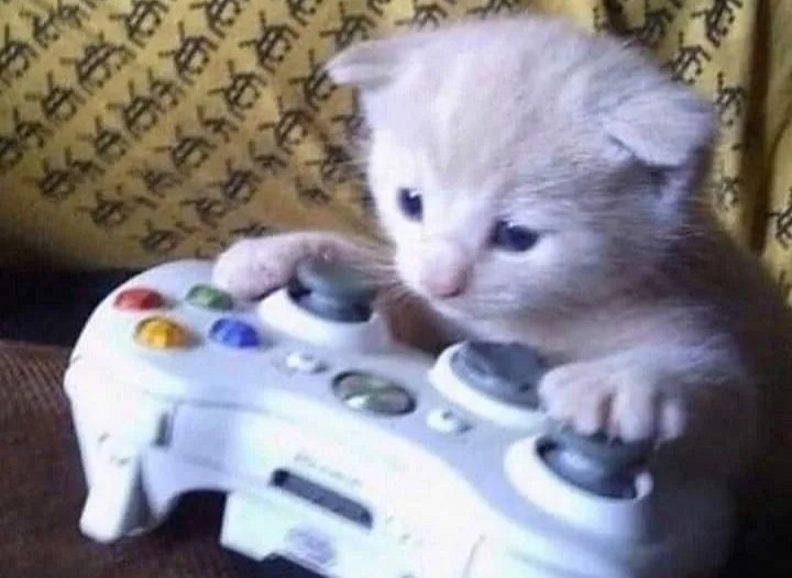 盤點遊戲生物之大狗和小貓 盤點遊戲生物之大狗和小貓