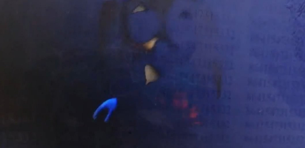 太醜了!《音速小子》初代電影早期測試片段畫面流出 太醜了!《音速小子》初代電影早期測試片段畫面流出