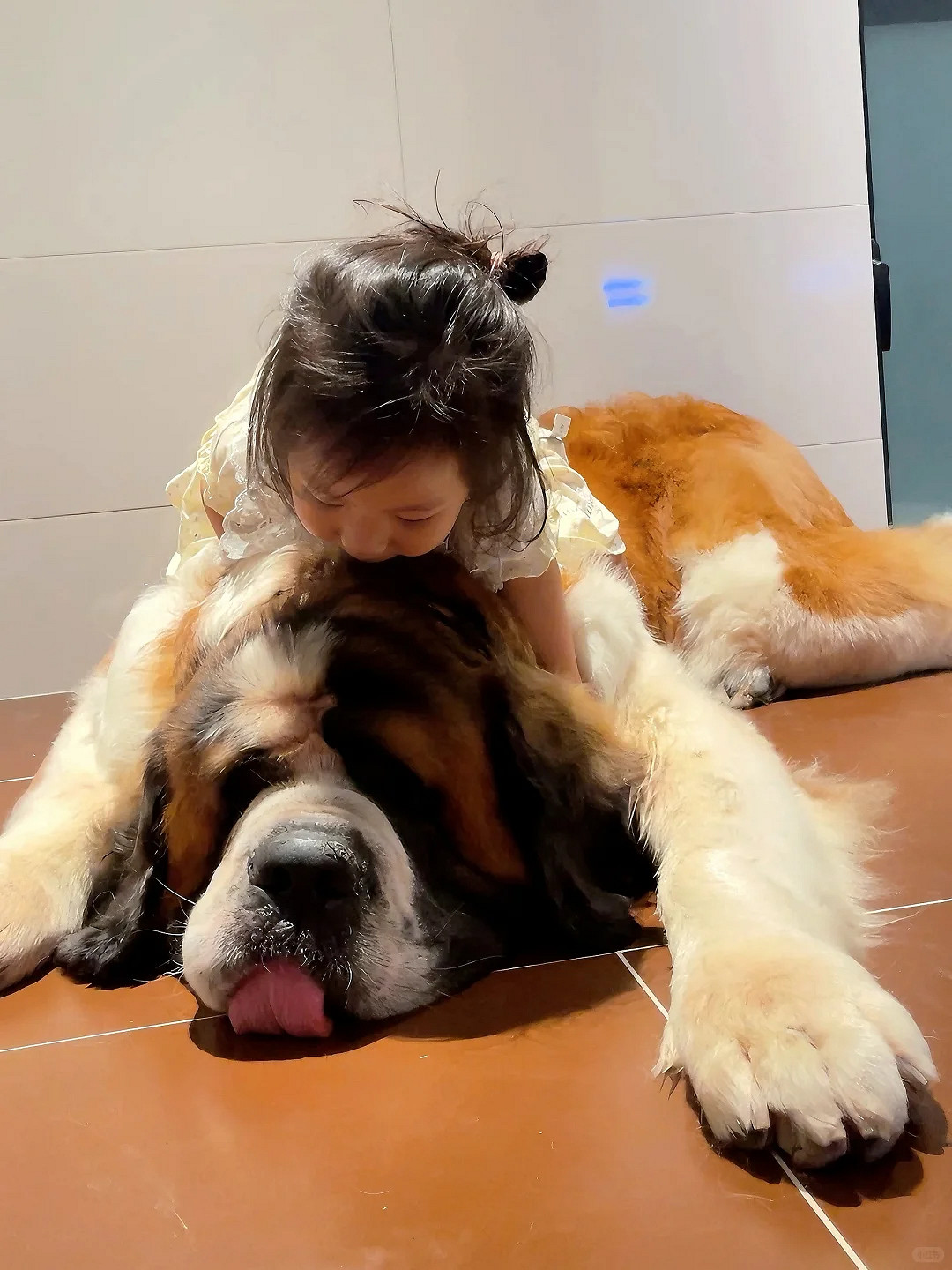 盤點遊戲生物之大狗和小貓 盤點遊戲生物之大狗和小貓