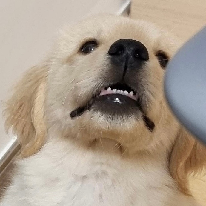 《英雄聯盟》皮一點又蠻可愛的暱稱匯總