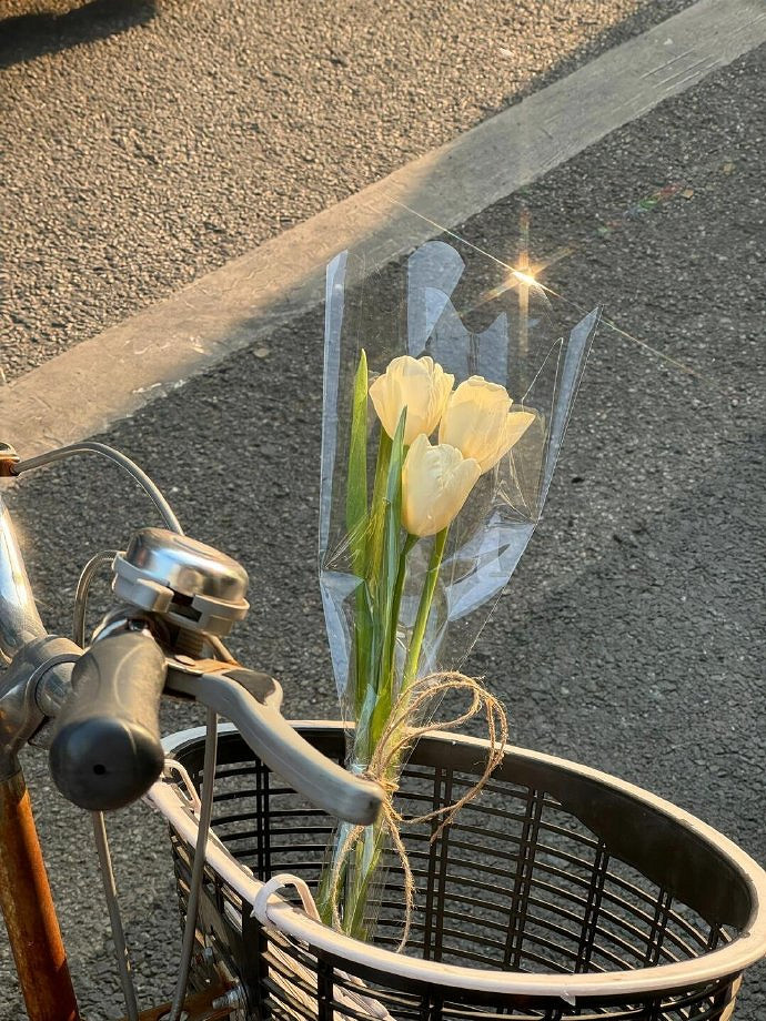 《英雄聯盟》2025最火女高雅暱稱推薦 《英雄聯盟》2025最火女高雅暱稱推薦